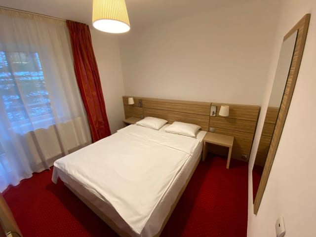 Dormitor cu pat matrimonial, oglindă mare și fereastră spre brazi