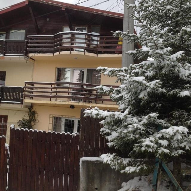 Vila Amira iarna — brad înzăpezit și fațadă acoperită de zăpadă, Predeal