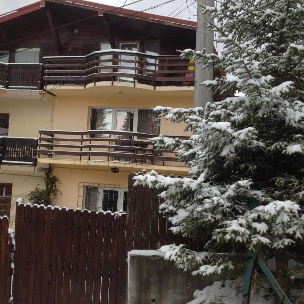 Vila Amira iarna — brad înzăpezit și fațadă acoperită de zăpadă, Predeal