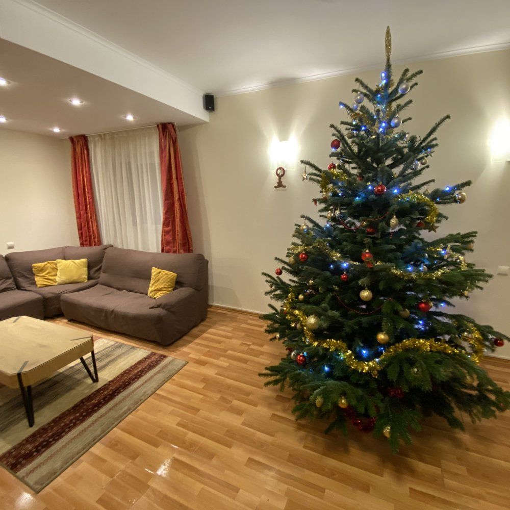 Living Vila Amira decorat de sărbători — brad de Crăciun și canapea confortabilă